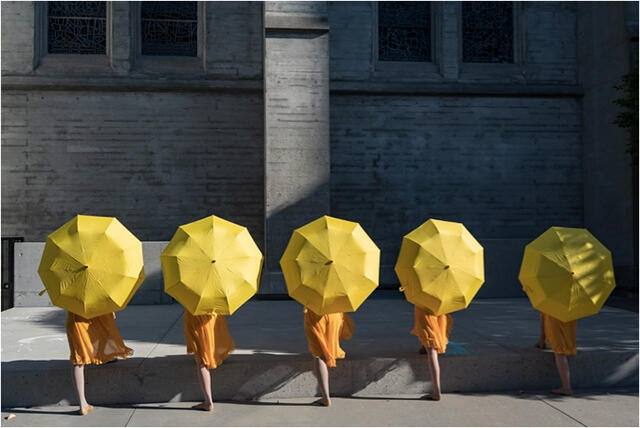 San Francisco Movement Arts Festival | Photo by David Golden